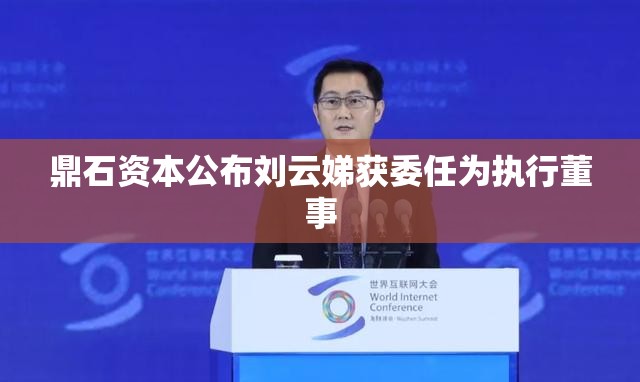鼎石资本公布刘云娣获委任为执行董事