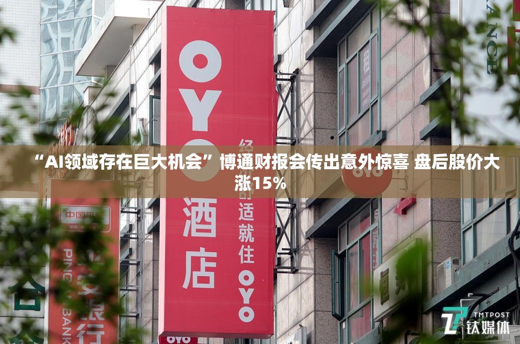 “AI领域存在巨大机会”博通财报会传出意外惊喜 盘后股价大涨15%