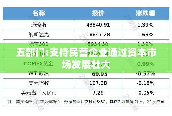 五部门:支持民营企业通过资本市场发展壮大