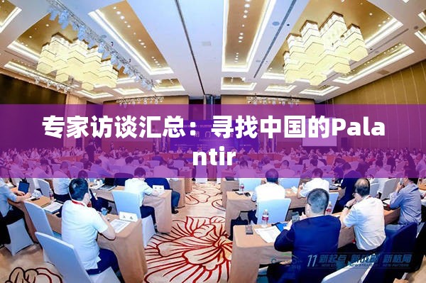 专家访谈汇总：寻找中国的Palantir