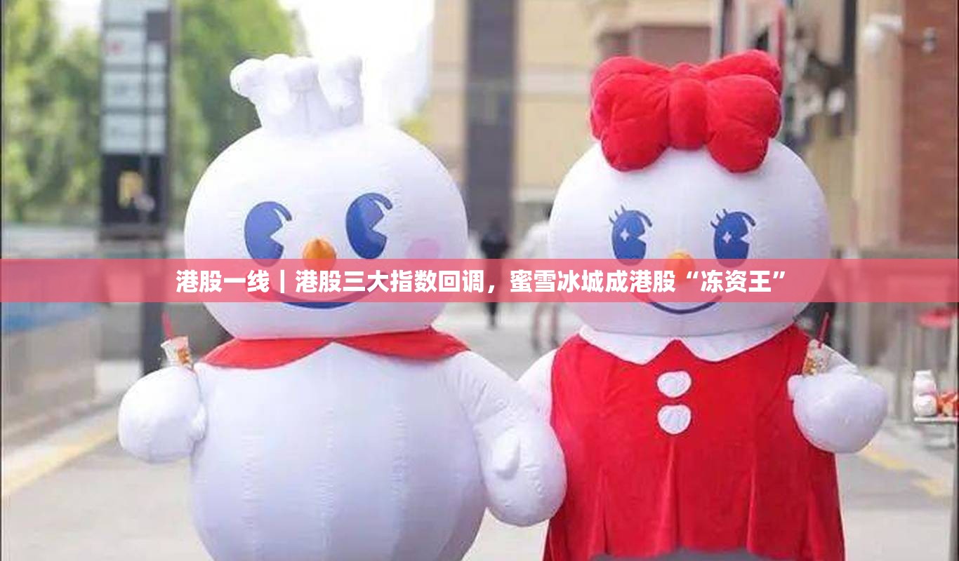 港股一线｜港股三大指数回调，蜜雪冰城成港股“冻资王”