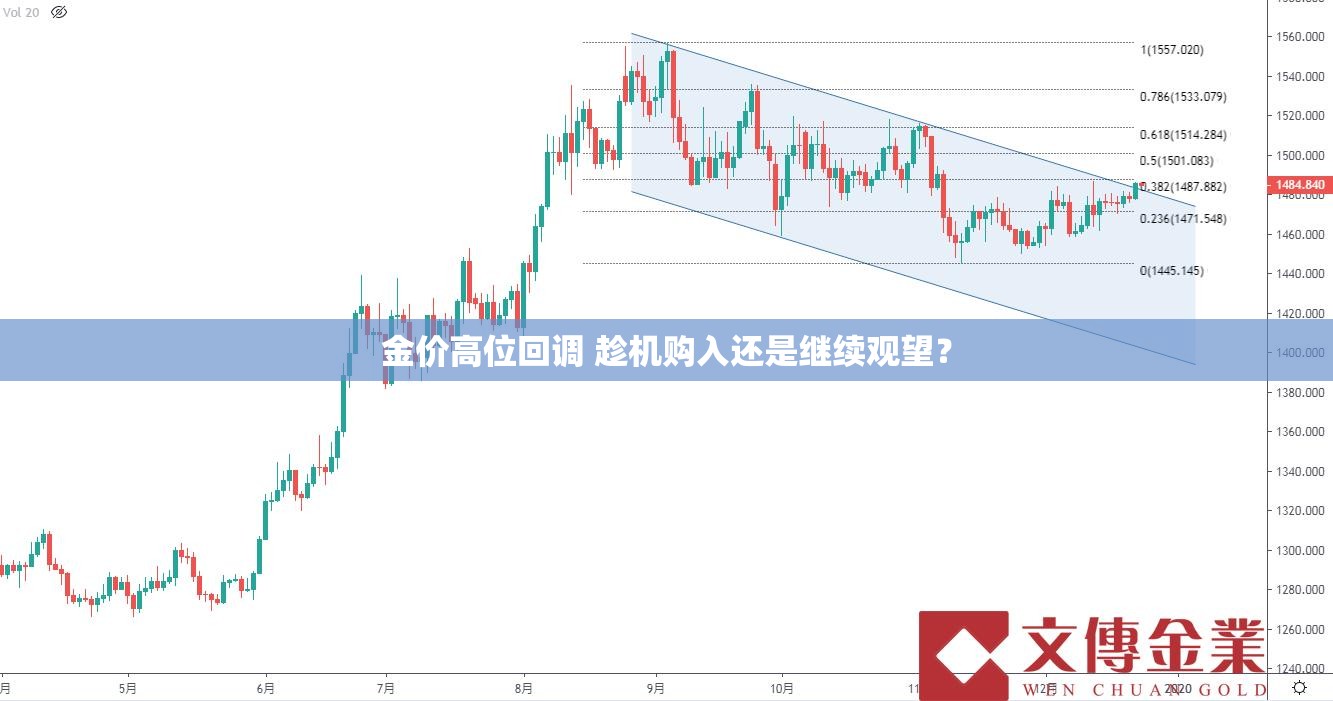 金价高位回调 趁机购入还是继续观望？