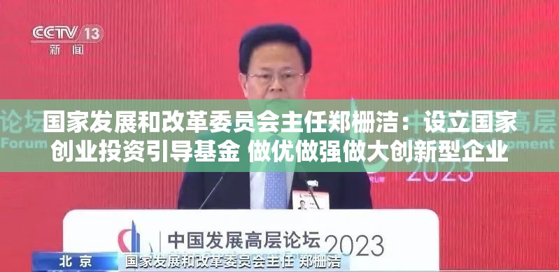 国家发展和改革委员会主任郑栅洁：设立国家创业投资引导基金 做优做强做大创新型企业