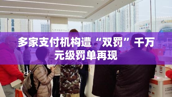 多家支付机构遭“双罚”千万元级罚单再现