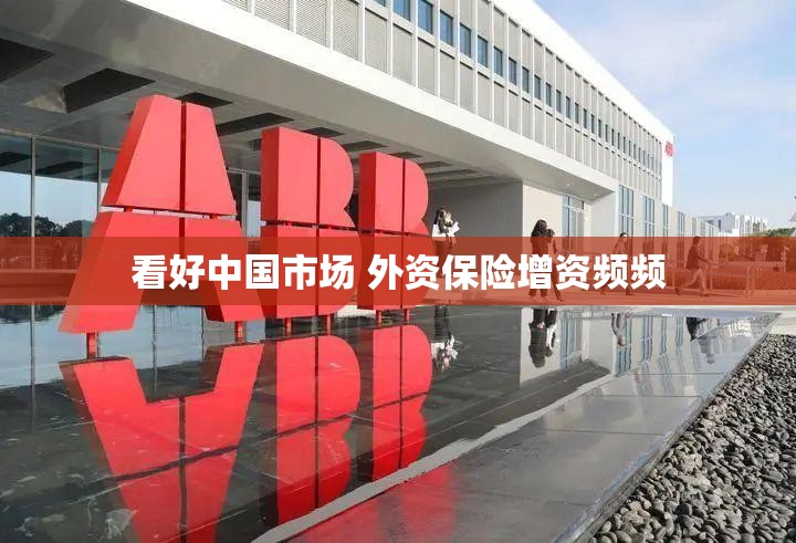 看好中国市场 外资保险增资频频
