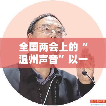 全国两会上的“温州声音”以一域探索为全国提供经验样板