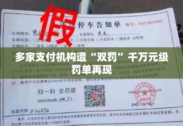 多家支付机构遭“双罚”千万元级罚单再现