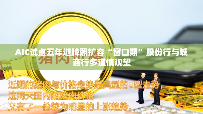 AIC试点五年迎牌照扩容“窗口期”股份行与城商行多谨慎观望