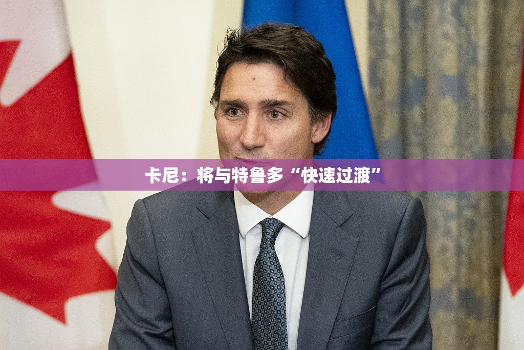 卡尼：将与特鲁多“快速过渡”