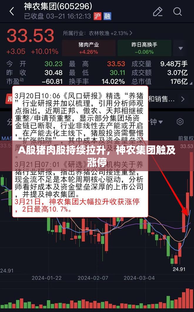 A股猪肉股持续拉升，神农集团触及涨停