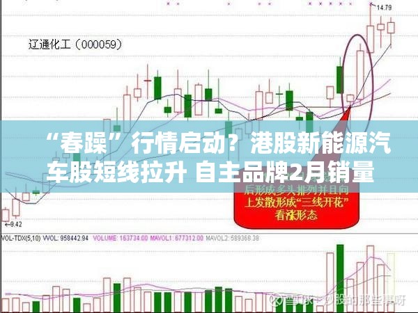 “春躁”行情启动？港股新能源汽车股短线拉升 自主品牌2月销量爆发