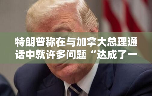 特朗普称在与加拿大总理通话中就许多问题“达成了一致”