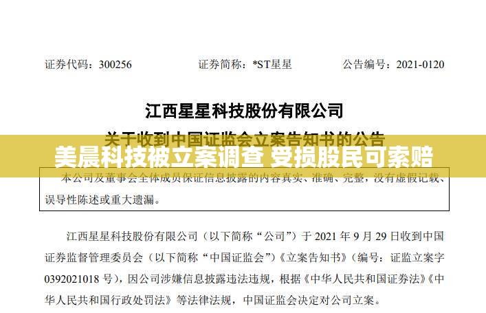 美晨科技被立案调查 受损股民可索赔