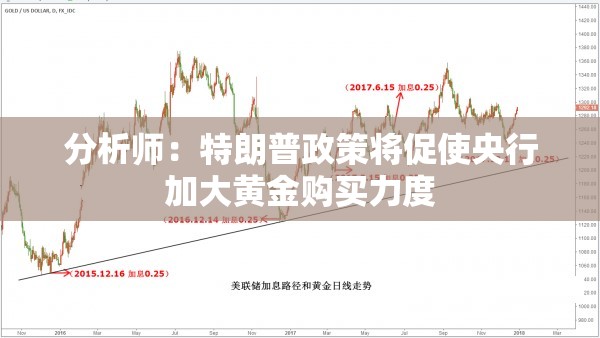 分析师：特朗普政策将促使央行加大黄金购买力度