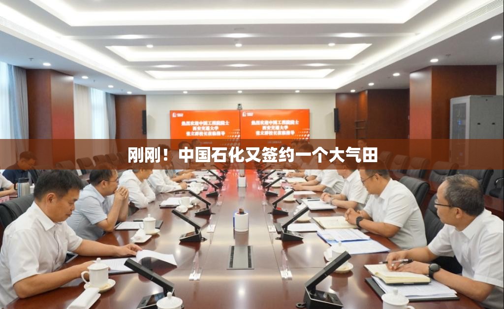 刚刚！中国石化又签约一个大气田