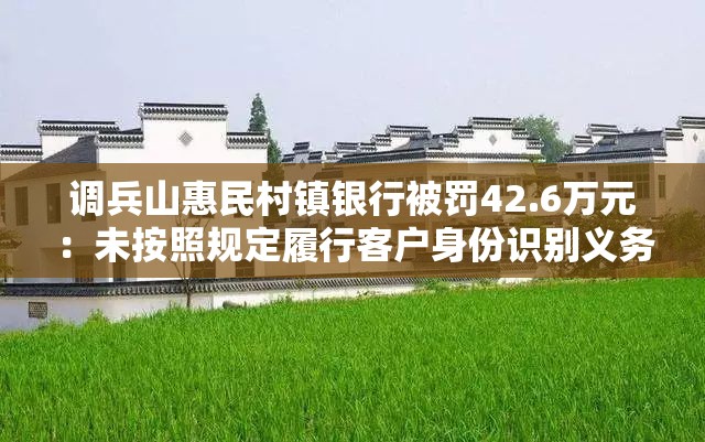 调兵山惠民村镇银行被罚42.6万元：未按照规定履行客户身份识别义务等