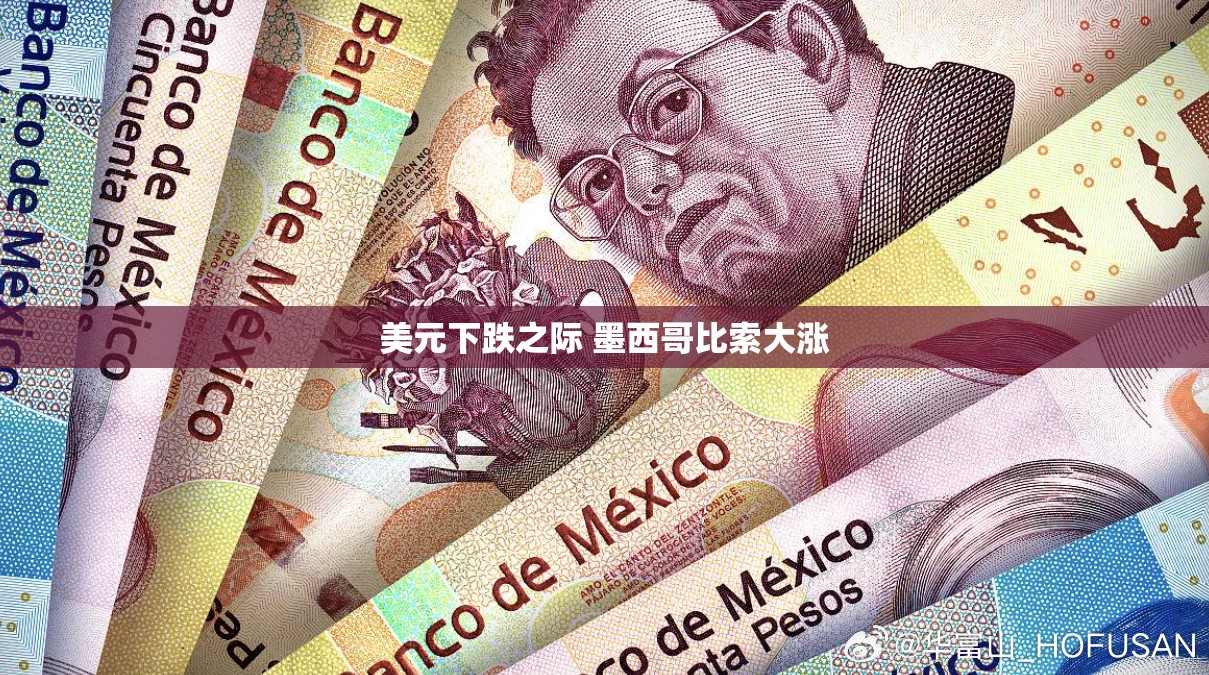 美元下跌之际 墨西哥比索大涨
