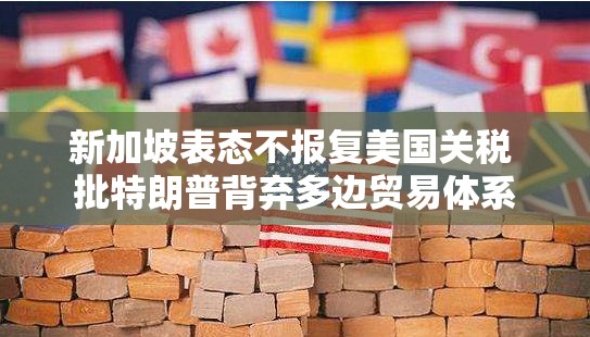 新加坡表态不报复美国关税 批特朗普背弃多边贸易体系