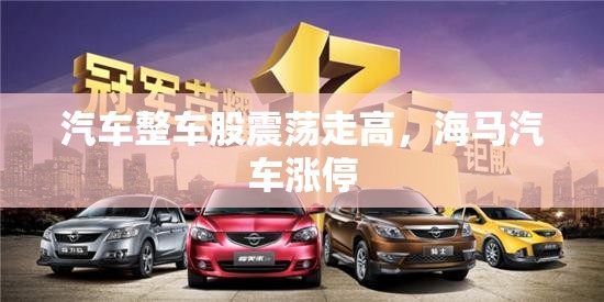 汽车整车股震荡走高，海马汽车涨停