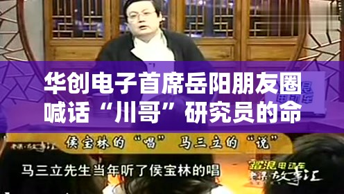 华创电子首席岳阳朋友圈喊话“川哥”研究员的命也是命，不是夜观星象的
