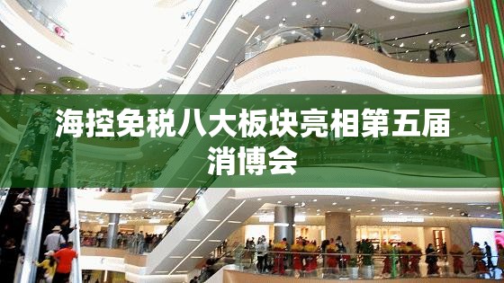 海控免税八大板块亮相第五届消博会