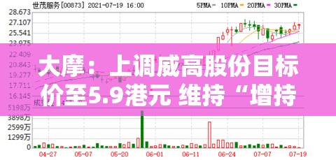 大摩：上调威高股份目标价至5.9港元 维持“增持”评级