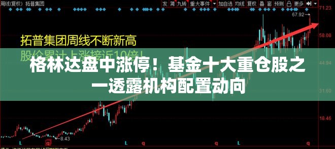 格林达盘中涨停！基金十大重仓股之一透露机构配置动向
