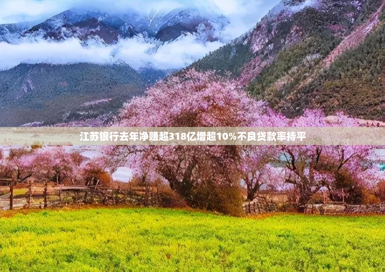 江苏银行去年净赚超318亿增超10%不良贷款率持平