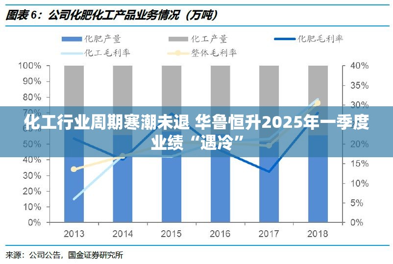 化工行业周期寒潮未退 华鲁恒升2025年一季度业绩“遇冷”