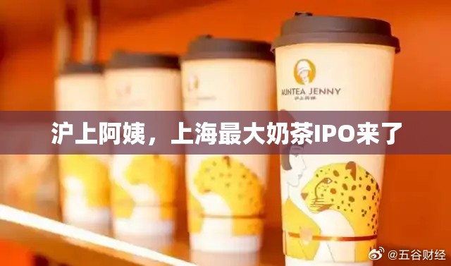 沪上阿姨，上海最大奶茶IPO来了