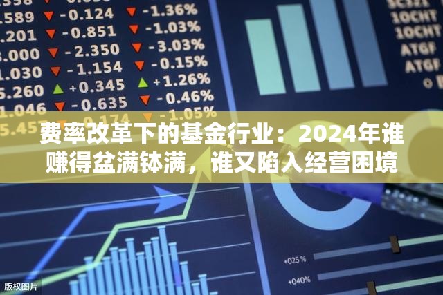 费率改革下的基金行业：2024年谁赚得盆满钵满，谁又陷入经营困境