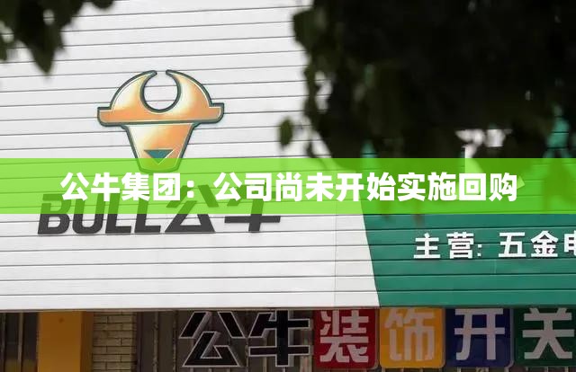 公牛集团：公司尚未开始实施回购