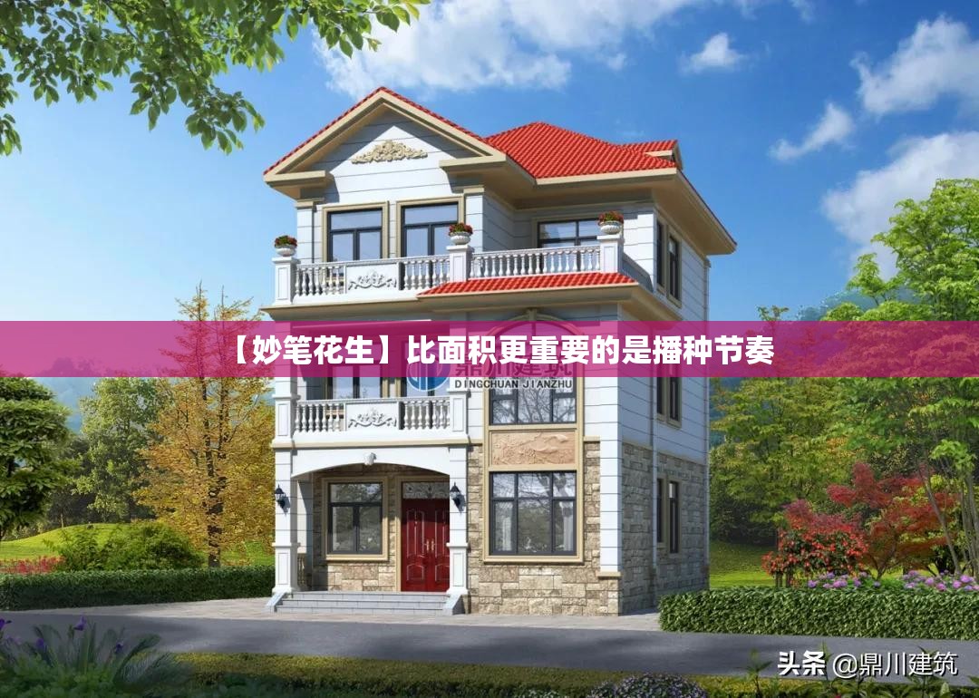 【妙笔花生】比面积更重要的是播种节奏