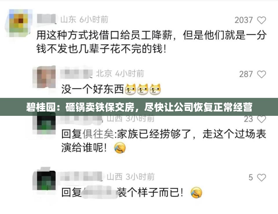 碧桂园：砸锅卖铁保交房，尽快让公司恢复正常经营