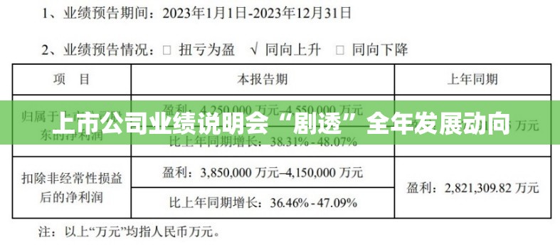 上市公司业绩说明会“剧透”全年发展动向