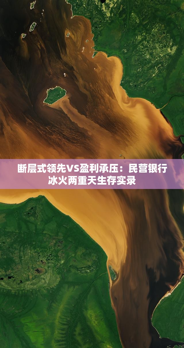 断层式领先VS盈利承压：民营银行冰火两重天生存实录