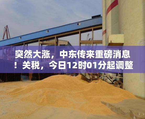 突然大涨，中东传来重磅消息！关税，今日12时01分起调整！一则传闻“点燃”多晶硅行情？