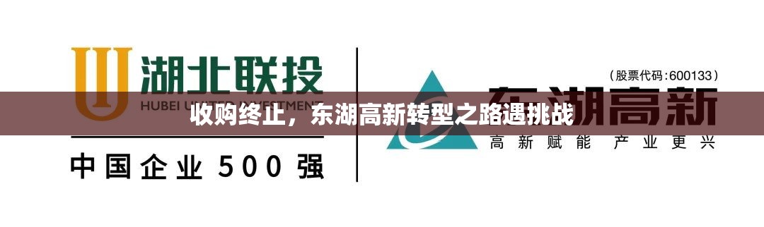 收购终止，东湖高新转型之路遇挑战