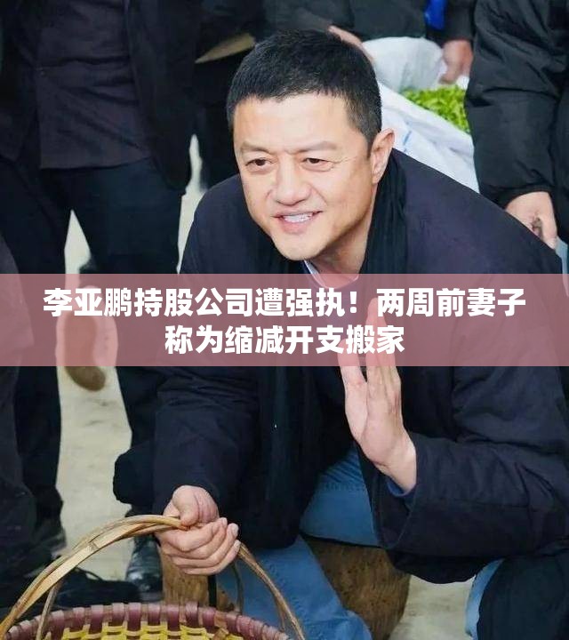 李亚鹏持股公司遭强执！两周前妻子称为缩减开支搬家