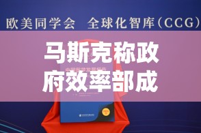 马斯克称政府效率部成华盛顿“替罪羊”哪怕坏事与我们毫无干系，也会受到指责