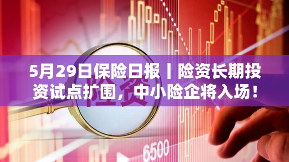 5月29日保险日报丨险资长期投资试点扩围，中小险企将入场！保险行业协会发布两大新规