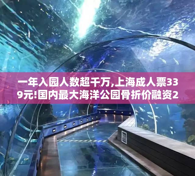 一年入园人数超千万,上海成人票339元!国内最大海洋公园骨折价融资21亿元,股价盘中大跌15%新东家来头很大