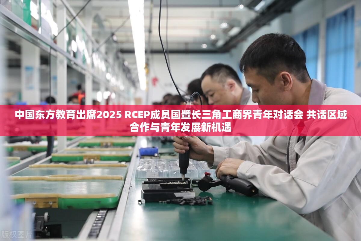 中国东方教育出席2025 RCEP成员国暨长三角工商界青年对话会 共话区域合作与青年发展新机遇