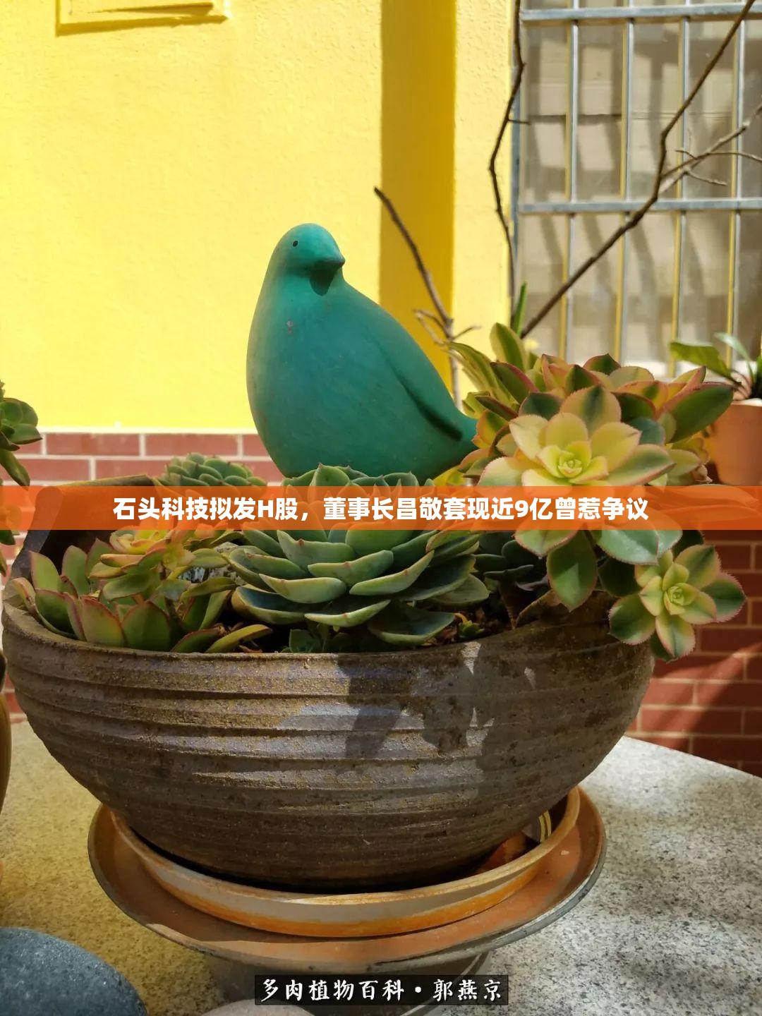 石头科技拟发H股，董事长昌敬套现近9亿曾惹争议