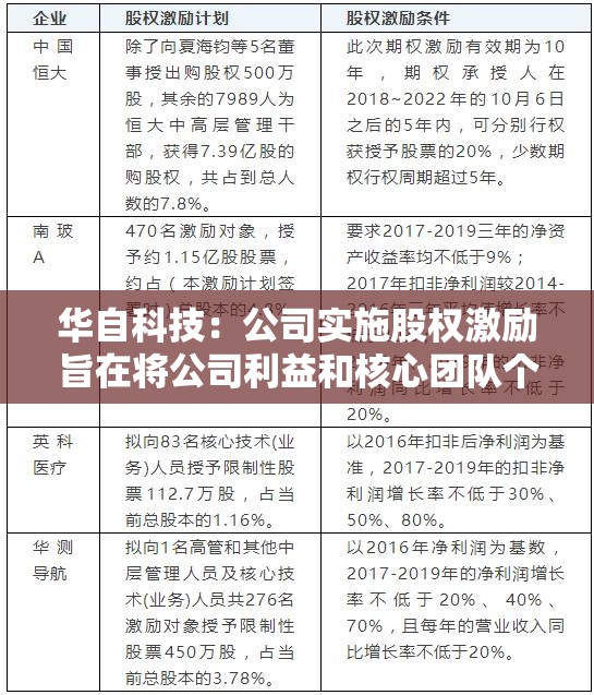 华自科技：公司实施股权激励旨在将公司利益和核心团队个人利益绑定