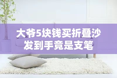大爷5块钱买折叠沙发到手竟是支笔