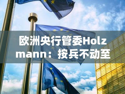 欧洲央行管委Holzmann：按兵不动至秋季是合理的