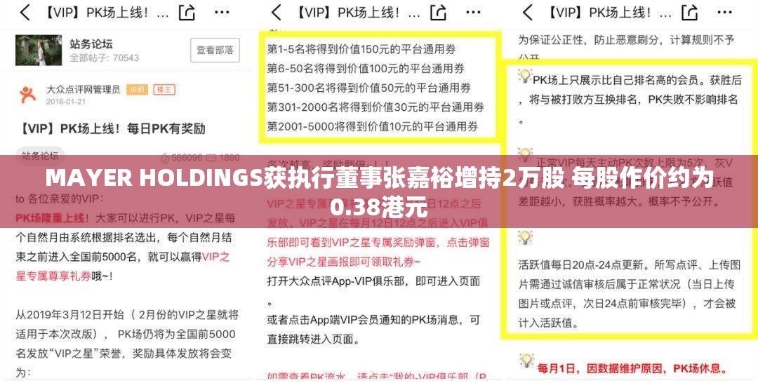 MAYER HOLDINGS获执行董事张嘉裕增持2万股 每股作价约为0.38港元