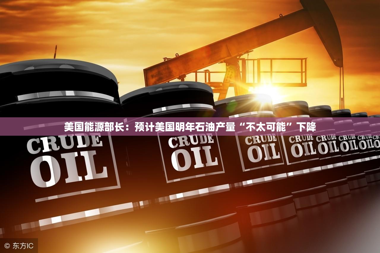 美国能源部长：预计美国明年石油产量“不太可能”下降